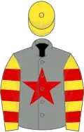 Grey, red star, yellow and red hooped sleeves, yellow cap
