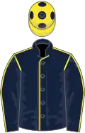 Dark blue, yellow seams, yellow cap, dark blue spots