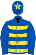 Royal blue and yellow hoops, royal blue sleeves, royal blue cap, yellow star