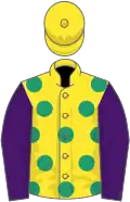 Yellow, emerald green spots, purple sleeves, yellow cap