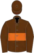 Brown, orange hoop, brown sleeves, brown cap