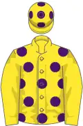 Yellow, purple spots, yellow sleeves