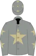 Grey, beige star, grey sleeves, beige stars and stars on cap