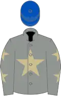 Grey, beige star, grey sleeves, beige stars, royal blue cap