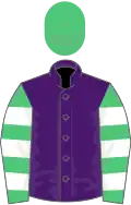 Purple, emerald green and white hooped sleeves, emerald green cap