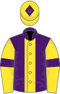 PURPLE, yellow panel, yellow sleeves, purple armlet, yellow cap, purple diamond