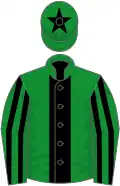 Green, black stripe, striped sleeves, star on cap
