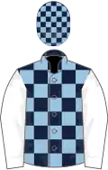 Dark blue and light blue check, white sleeves, check cap