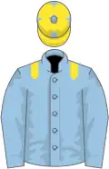 Light blue, yellow epaulets, yellow cap, light blue stars