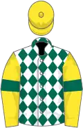White and dark green diamonds, yellow sleeves, dark green armlets, yellow cap