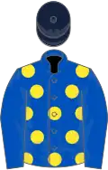 Royal blue, yellow spots, royal blue sleeves, dark blue cap