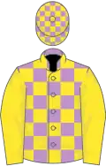 Mauve and yellow check, yellow sleeves