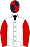 White, red sleeves, red and dark blue quartered cap