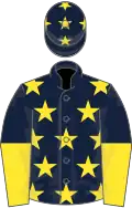 Dark Blue, Yellow stars, halved sleeves and stars on cap