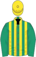 EMERALD GREEN and YELLOW STRIPES, emerald green sleeves, yellow cap