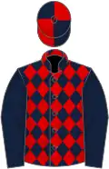 Dark blue and red diamonds, dark blue sleeves, quartered cap