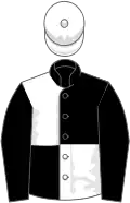 Black and white (quartered), black sleeves, white cap