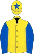 Yellow, royal blue sleeves, yellow cap, royal blue star