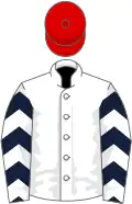 White, dark blue and red chevrons on sleeves, red cap
