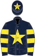 Dark blue, yellow star, hooped sleeves and star on cap