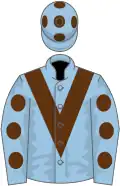 Light blue, brown chevron, light blue sleeves, brown spots, light blue cap, brown spots