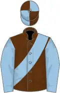 Brown, light blue sash and sleeves, quartered cap