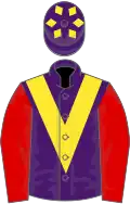 Purple, Yellow chevron, Red sleeves, Purple cap, Yellow diamonds