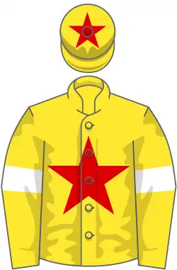 YELLOW, Red star, Yellow sleeves and White armlet, Yellow cap and Red star