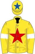 Yellow, red star, yellow sleeves, white armlets, yellow cap, royal blue star
