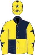 Dark Blue and Yellow (quartered), Yellow sleeves, Dark Blue stars and stars on cap