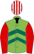 Light green, dark green chevrons, red sleeves, white and red striped cap