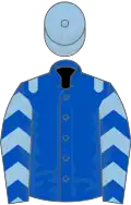 Royal blue, light blue epaulets, chevrons on sleeves, light blue cap