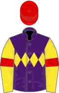 Purple, yellow triple diamond, yellow sleeves, red armlets, red cap