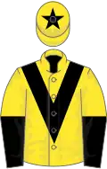 Yellow, black chevron, black and yellow halved sleeves, yellow cap, black star