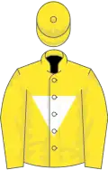 Yellow, white inverted triangle