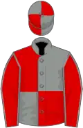Grey and red (quartered), red sleeves, grey seams