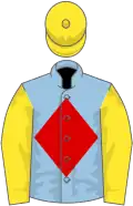 Light blue, red diamond, yellow sleeves and cap