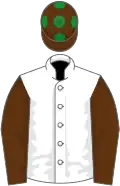 White, brown sleeves, brown cap, green spots