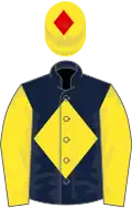 Dark blue, yellow diamond and sleeves, yellow cap, red diamond