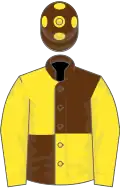 Brown and yellow (quartered), yellow sleeves, brown cap, yellow spots