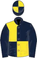 Dark blue and yellow quartered, quartered cap