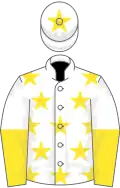 White, yellow stars, halved sleeves and stars on cap