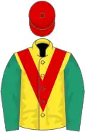 Yellow, red chevron, emerald green sleeves, red cap