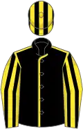 Black, yellow seams, yellow and black striped sleeves, black and yellow striped cap