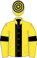 Yellow, black stripe and armlets, hooped cap