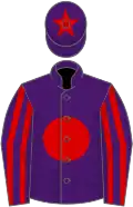 Purple, red disc, striped sleeves and star on cap
