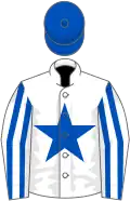 White, royal blue star, striped sleeves, royal blue cap
