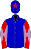 Blue, red sleeves, mauve diablo, blue cap, red star