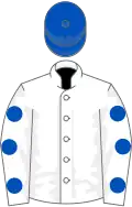 White, royal blue spots on sleeves, royal blue cap