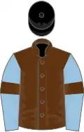 Brown, light blue sleeves, brown armlets, black cap